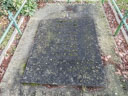 Crystal Palace Workmens Grave (id=4698)